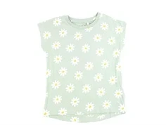 Name It silt green daisy flowers top